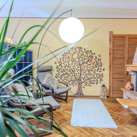 Apartament Tree House-Old Town Braszów Zewnętrze zdjęcie