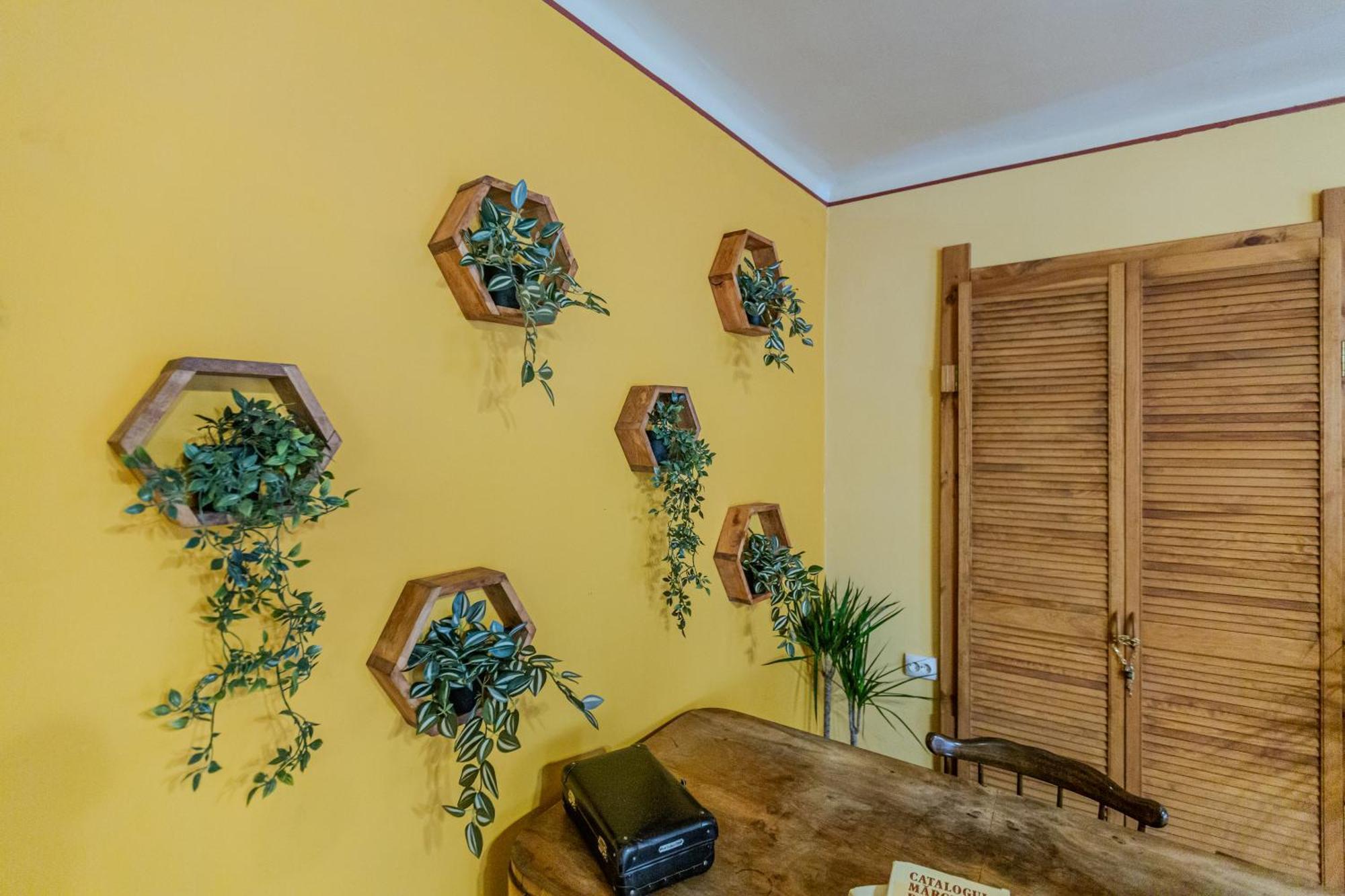 Apartament Tree House-Old Town Braszów Zewnętrze zdjęcie
